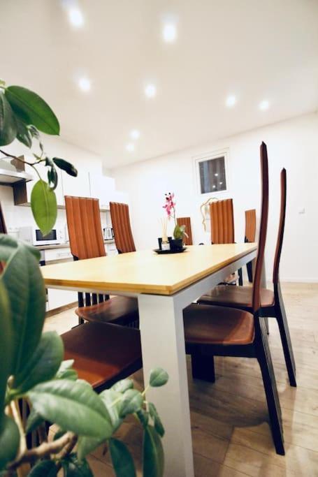 Apartment Comfy 4br With Terrace In Great Location Wien